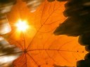 Autumn – Vivaldi